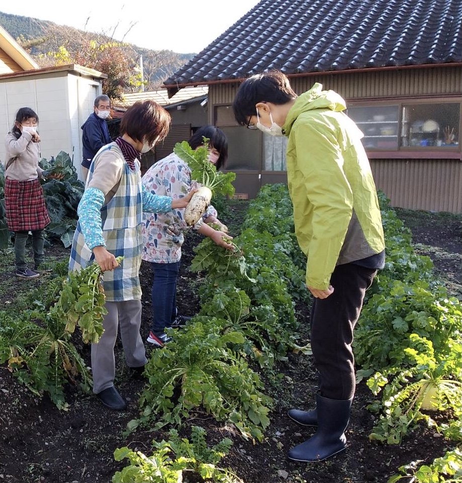 どれにしようかな？まよっちゃうな！これにきーめた！！【冬大根（収穫 体験）】