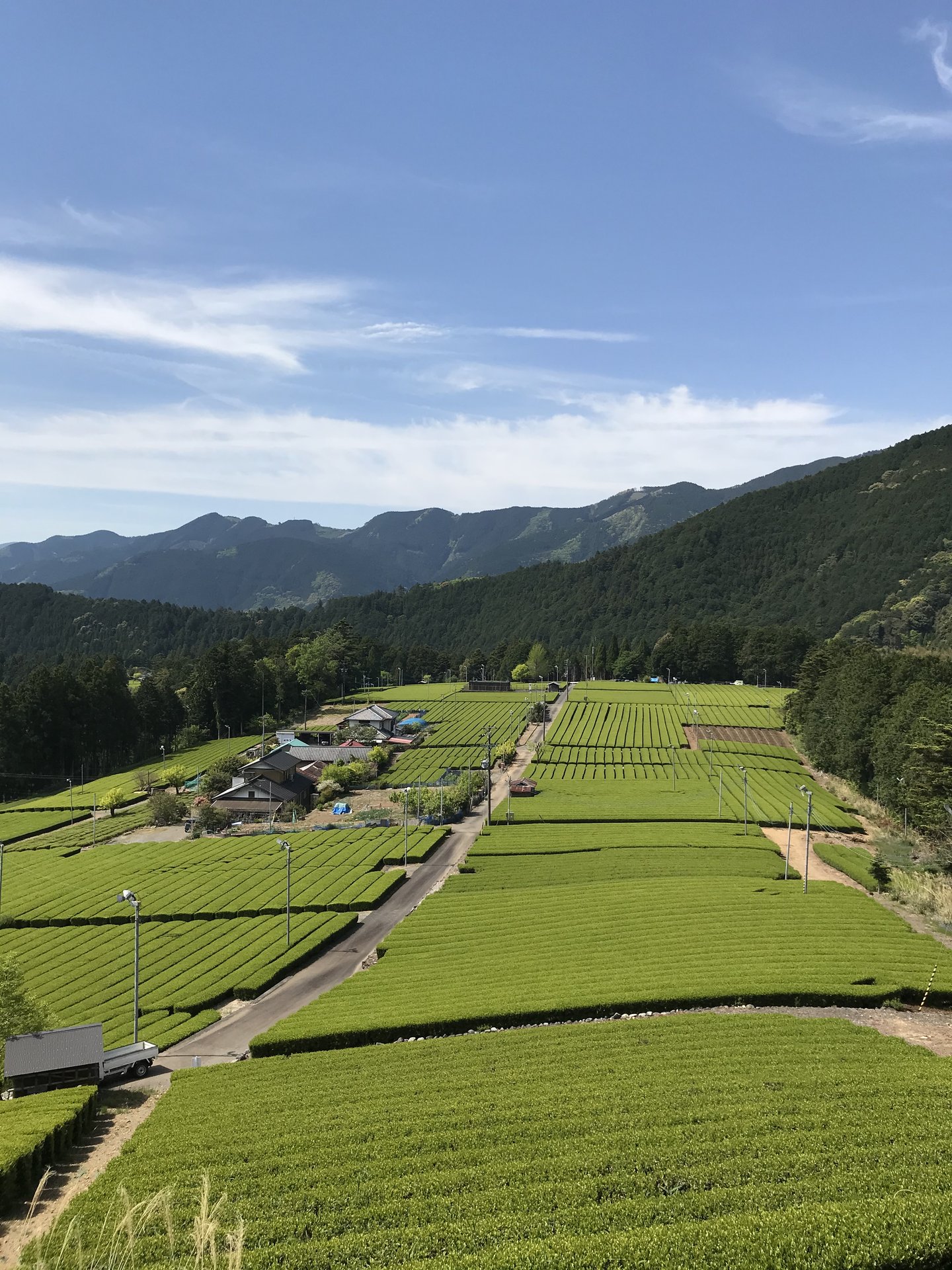 ポカポカ陽気の中、楽しい種まきやっちゃおー♪【春大根（種まき 体験）】