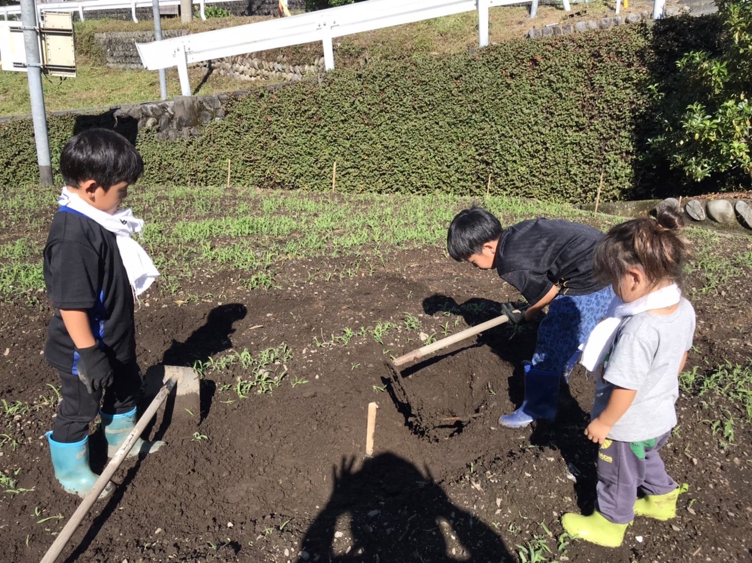 ポカポカ陽気の中、楽しい種まきやっちゃおー♪【春大根（種まき 体験）】