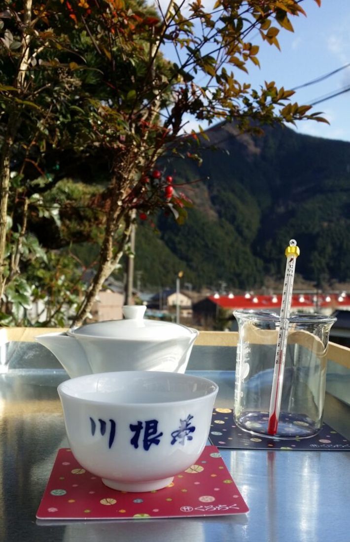 川根茶を温度を変えて味わう
