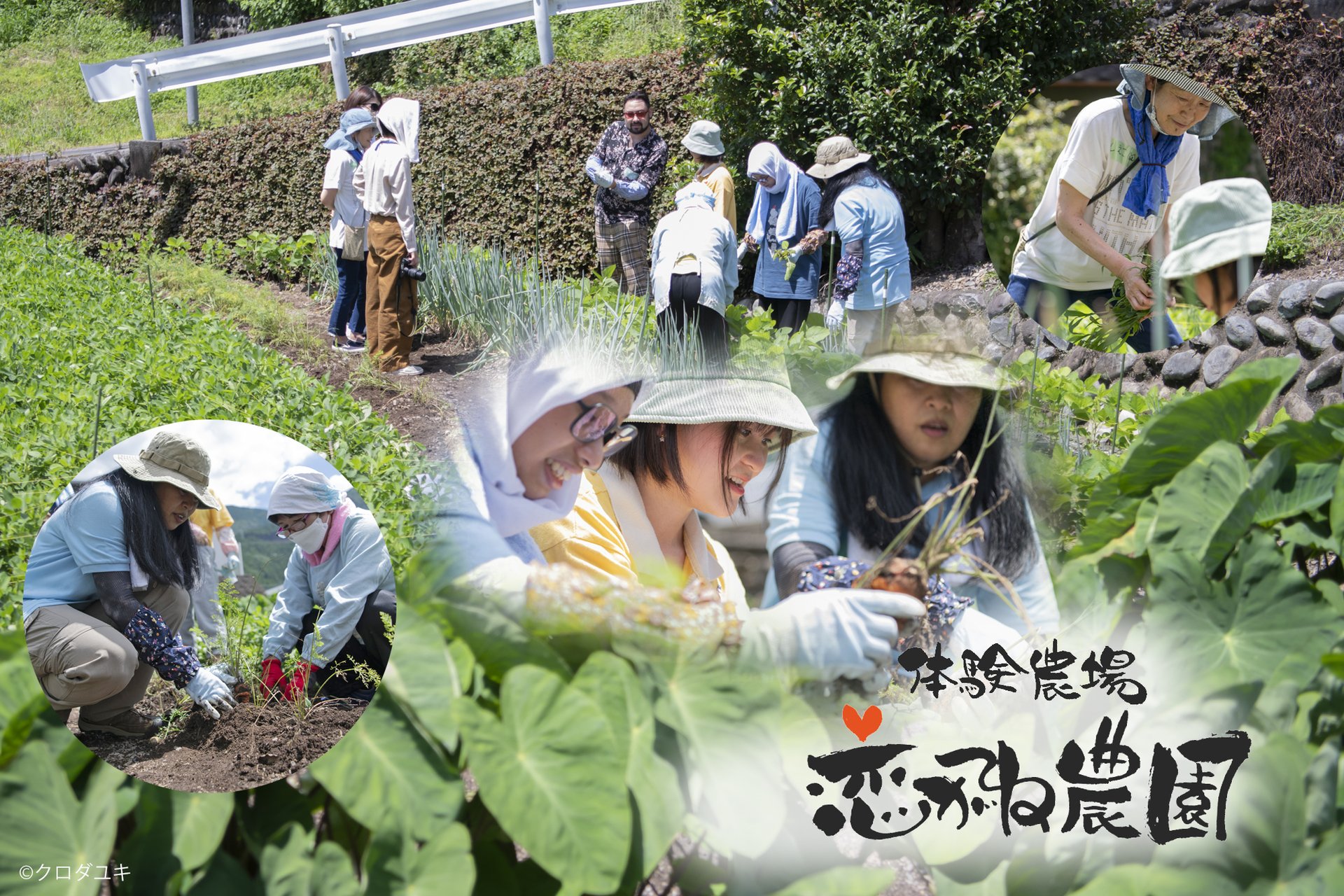 恋がね農園