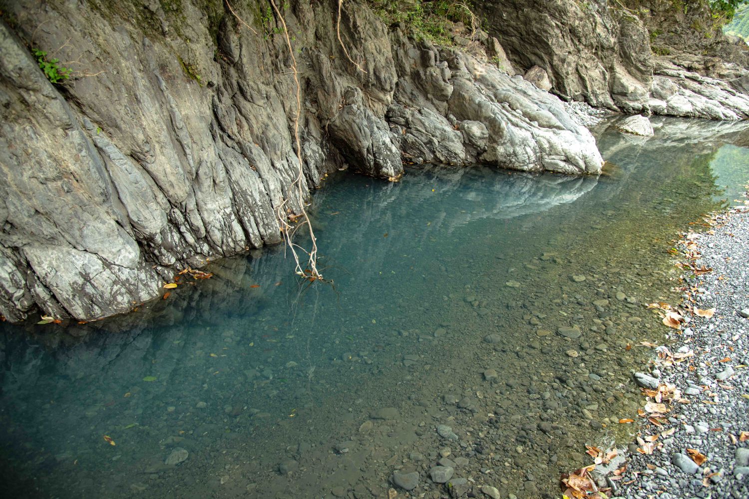 透きとおる清流での川遊び