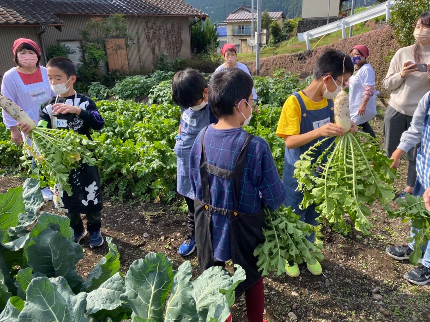 親子で楽しむ収穫体験